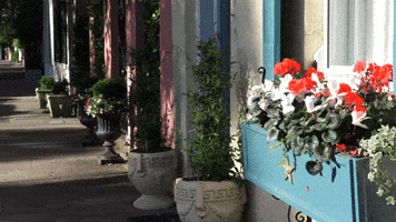 Digital Ignite GIF