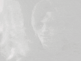 Video Games Leon GIF