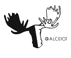 alce101 Sticker