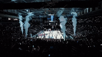 Sport Party GIF by UCF Knights