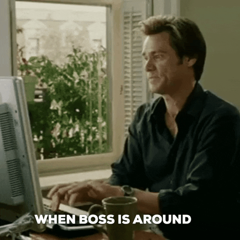 Work Team GIF by Vadoo TV