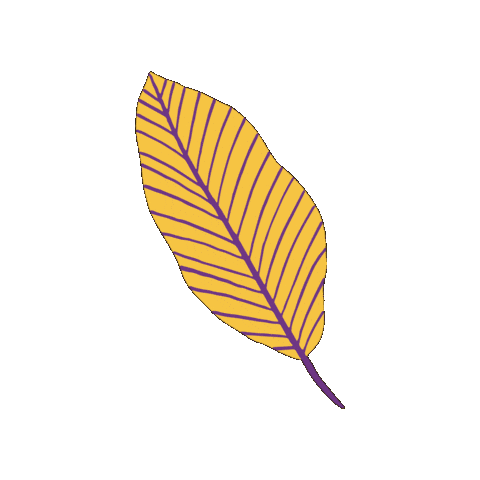 Sesc Thermas Sticker by Sesc Thermas Presidente Prudente