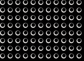 IWSC GIF