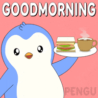 Good Morning GIF by Pudgy Penguins