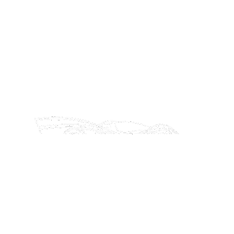 Rodin Cars Sticker