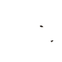 Mushroom Sticker by Fungi Academy