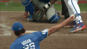 Florida Gators GIF