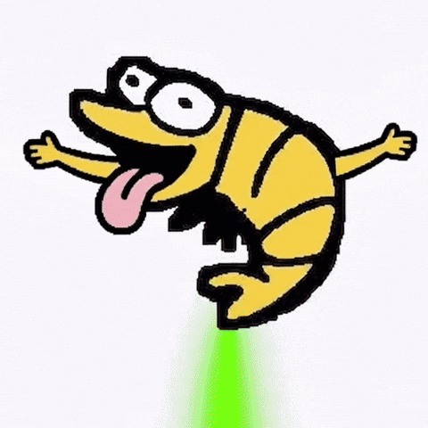 Lets Go Crypto GIF by Shramp