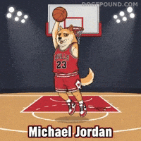 Winning Chicago Bulls GIF by Doge Pound