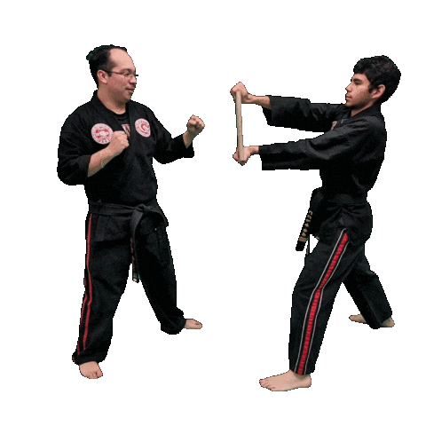 Karate Taekwondo Sticker by Team GMA