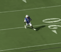 Pony Up GIF