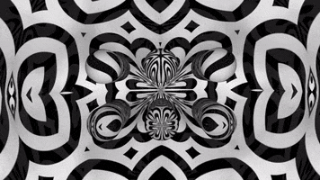 200.gif?cid=fc005b0863ee9dbad7a52bb793909d74662f88a6de3b639c&rid=200.gif&ct=g