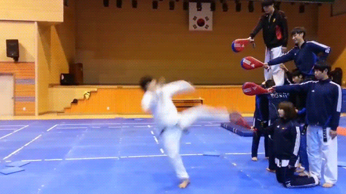 Taekwondo GIFs - Get the best GIF on GIPHY