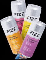 Fizz GIF by hard_fizz