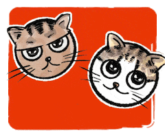 Cat GIF