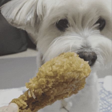 Eat Fried Chicken GIF