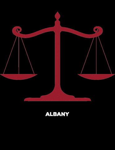GIF by Albany Law School