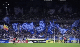 Palestra Italia Cruzeiro GIF