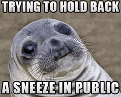 Hold Back Sneezing GIF