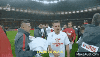 Euro 2016 Radosc GIF