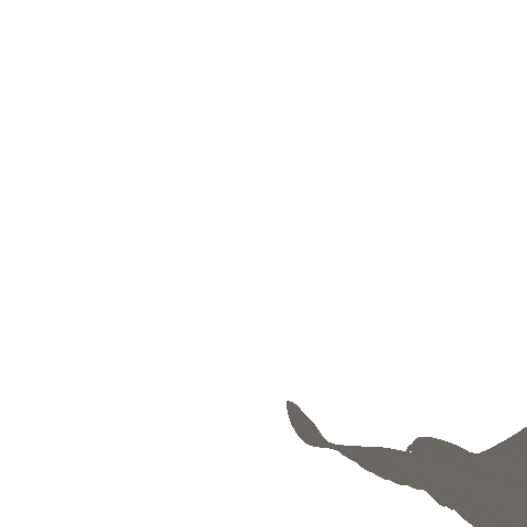 Bird Sticker