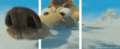 100.gif