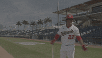 Juan-soto-pointing GIFs - Get the best GIF on GIPHY