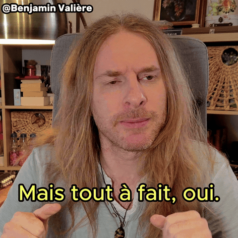 Ah Bon Nimporte Quoi GIF