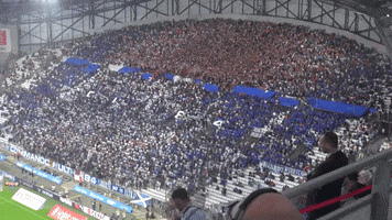 Orange Velodrome Football GIF by Olympique de Marseille