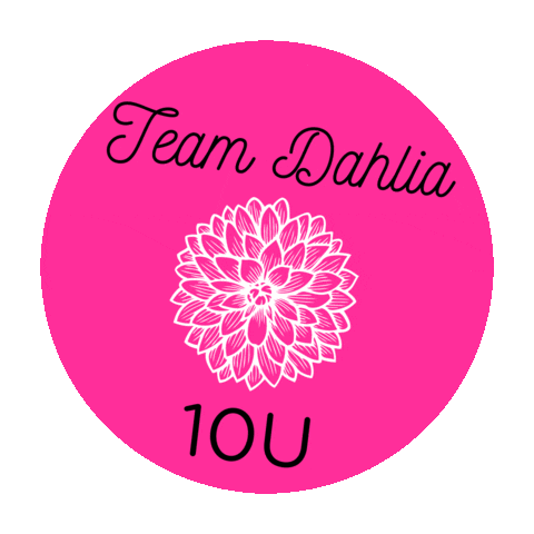 Ignitionpa Sticker by IPA