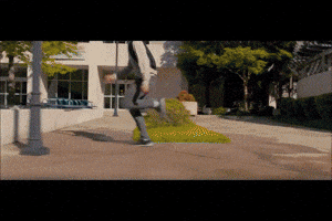 lailton  GIF