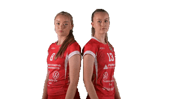 Sport Volleyball Sticker by LP Viesti