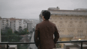 Mert Ramazan Demir GIF by Show TV