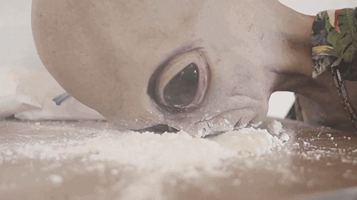 Cocaine GIF - Find & Share on GIPHY