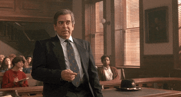 my cousin vinny question GIF