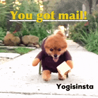 youve got this gif