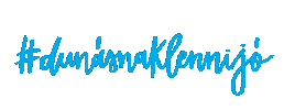 Duna Művészegyüttes Sticker