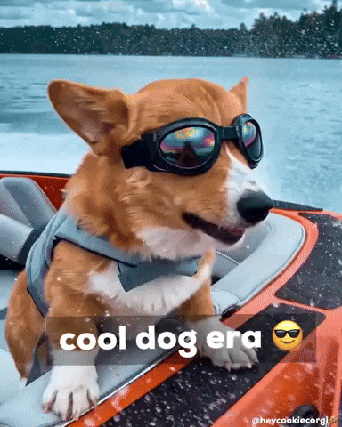 Dog Chilling GIF
