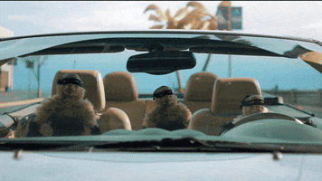 CG Coralisle GIF