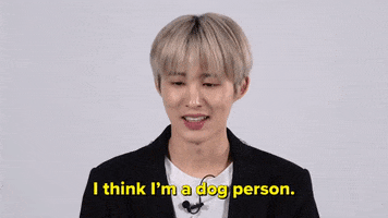 K-Pop Dog Person GIF by BuzzFeed