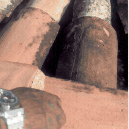 Davebanana GIF by dave