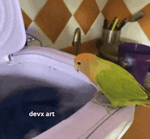 Bird Parrot GIF by DevX Art