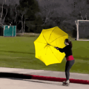 Wind Umbrella GIF by RollerPump