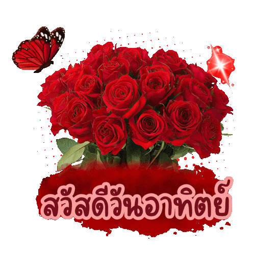 Sunday Sticker
