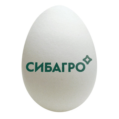 sibagro Sticker