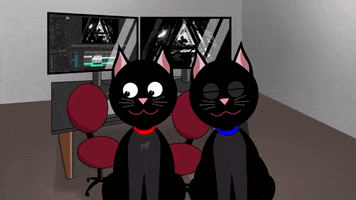 Happy Cat GIF by BlackCatVideo