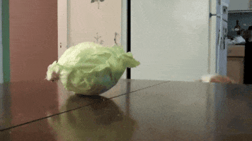 Corned Beef And Cabbage Oops GIF