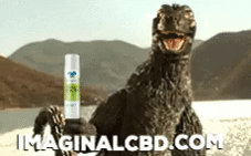 No Problem Thumbs Up GIF by Imaginal Biotech
