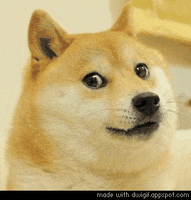 Doge Deal With It GIF