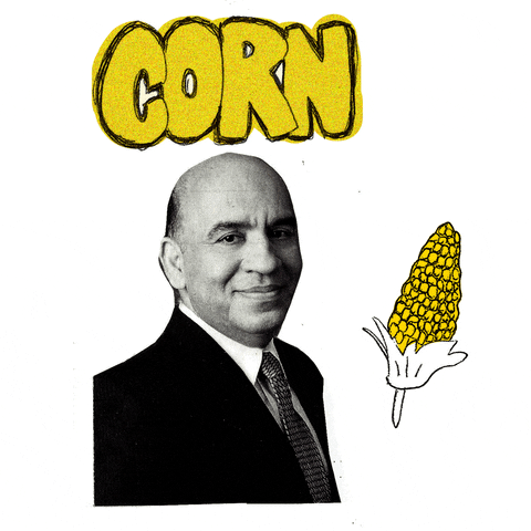 Corn On The Cob Vegetables GIF by ODE Willie's Funky Bunch